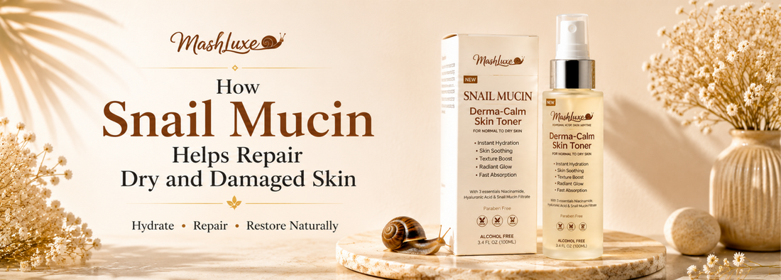 How Snail Mucin Helps Repair Dry and Damaged Skin